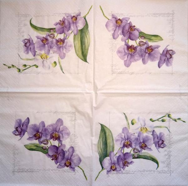 136 Orchids - 3-ply (lilac) - Ti-Flair